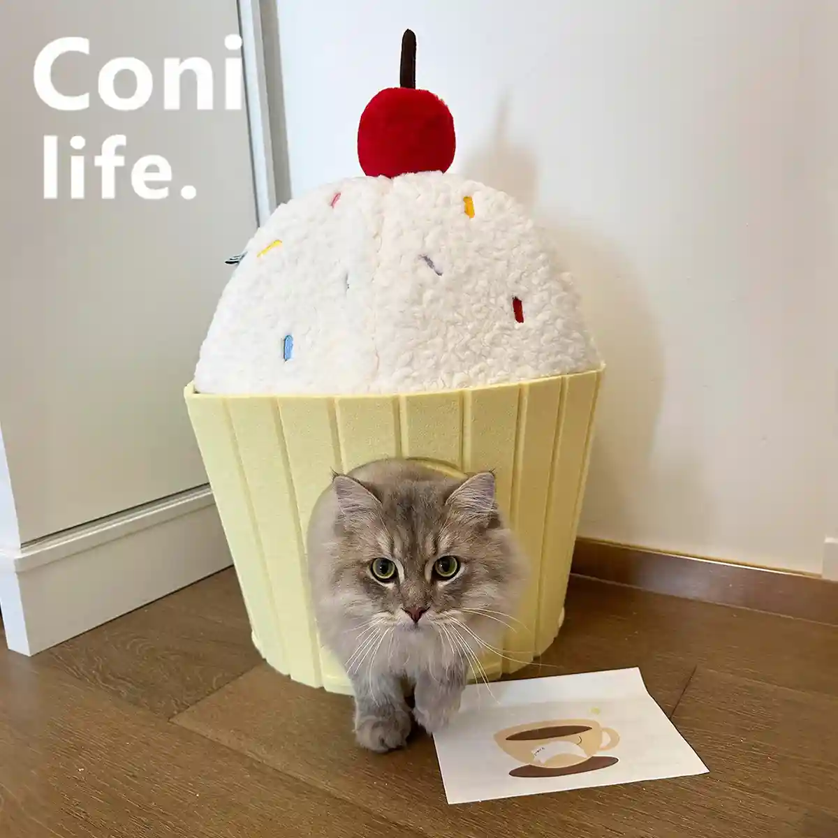 Cake Shape Cat Bed Soft Warm Pet House Durable for Indoor Cats Kittens Use - Image 7