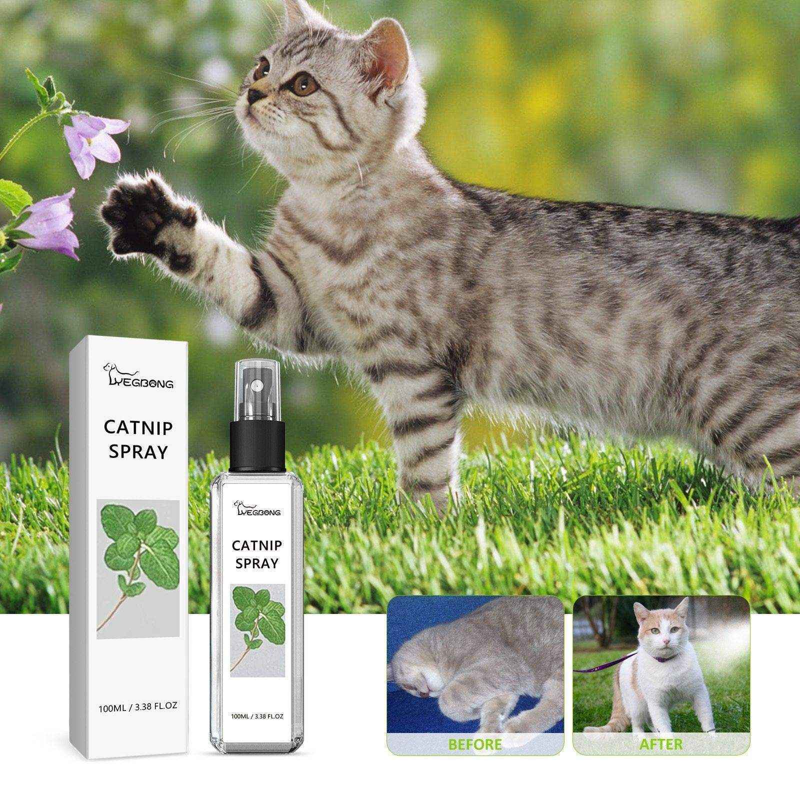 Catnip Spray Relieve Cats' Anxiousness Enhance Pet Vitality Health Care Spray - Image 3