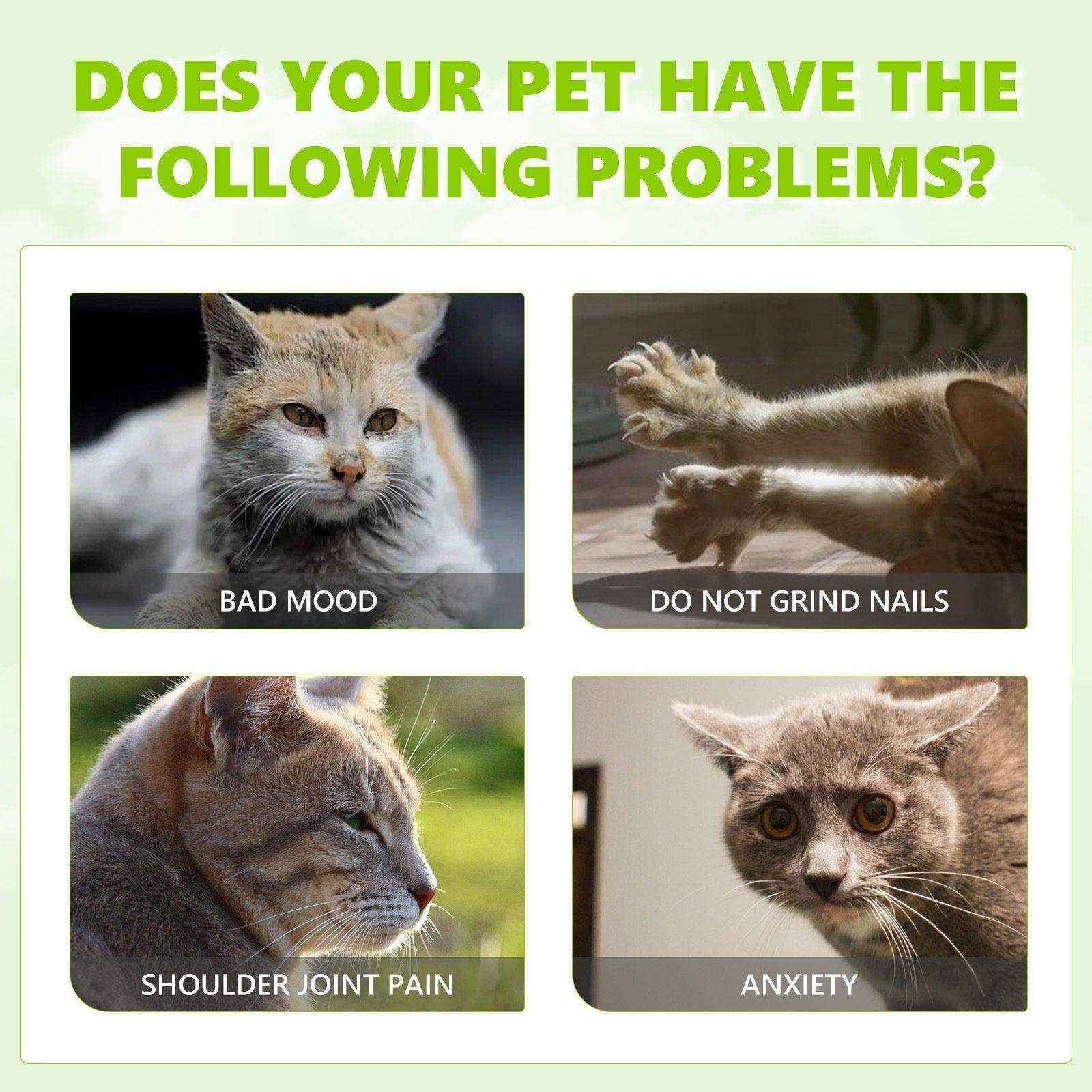 Catnip Spray Relieve Cats' Anxiousness Enhance Pet Vitality Health Care Spray - Image 6