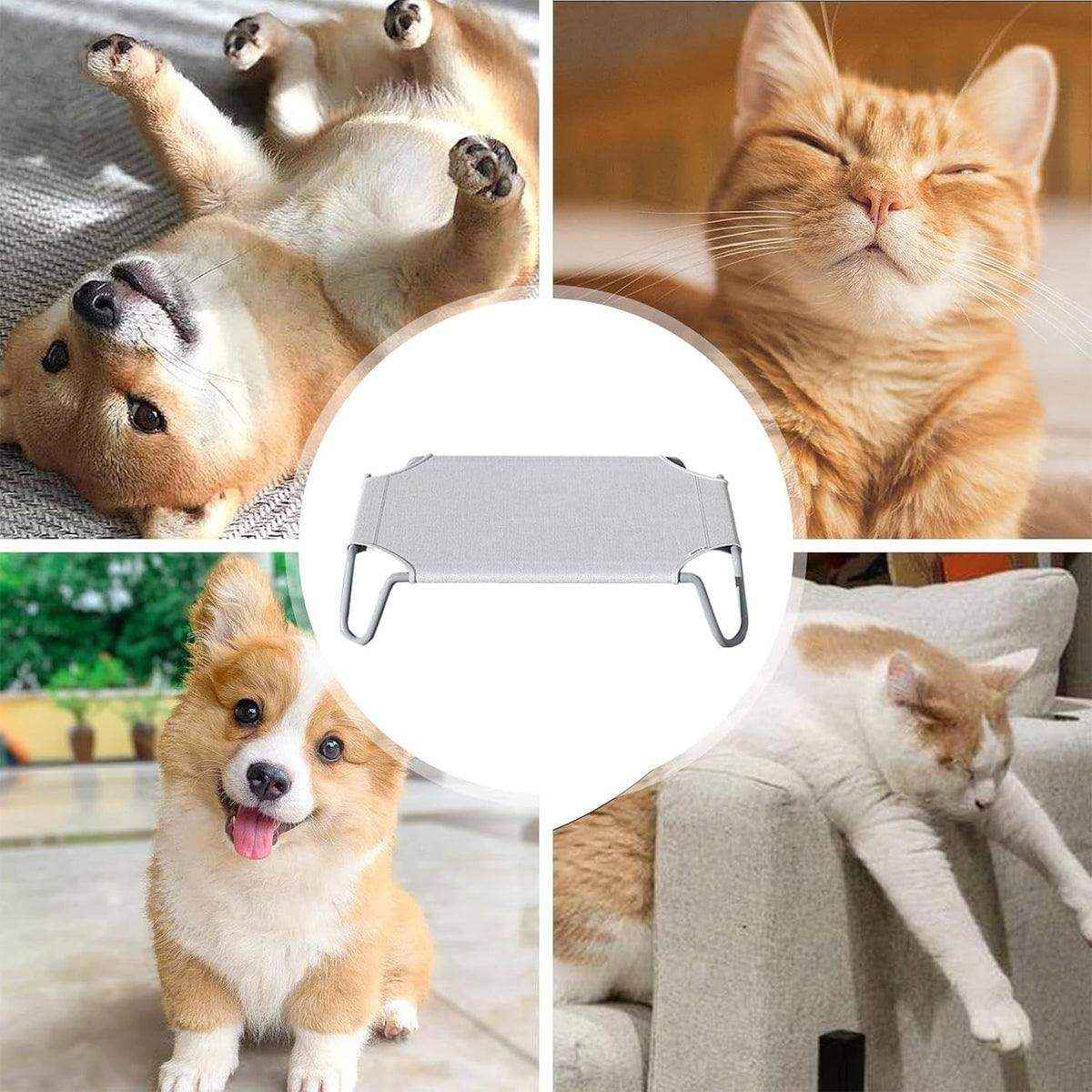 Elevated Design for Comfort Breathable & Portable Camping Dog Bed - Image 12