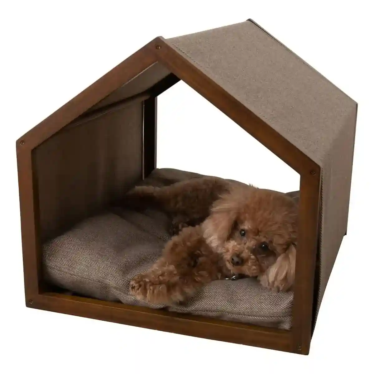 Modern Canvas Pet House for Small Dogs Washable Indoor Dog Bed - Image 3