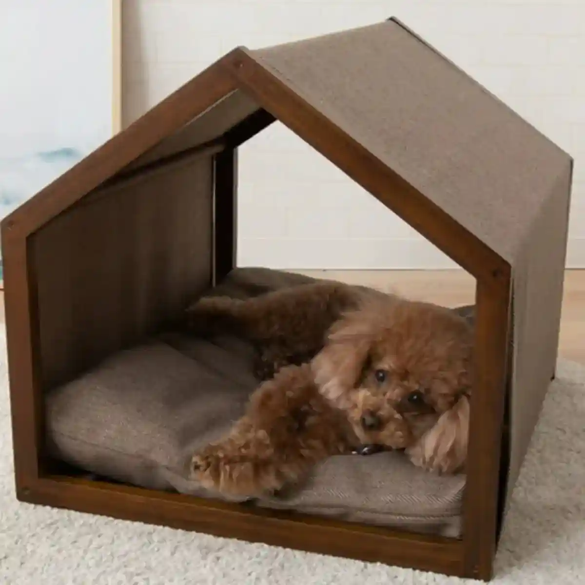 Modern Canvas Pet House for Small Dogs Washable Indoor Dog Bed - Image 9