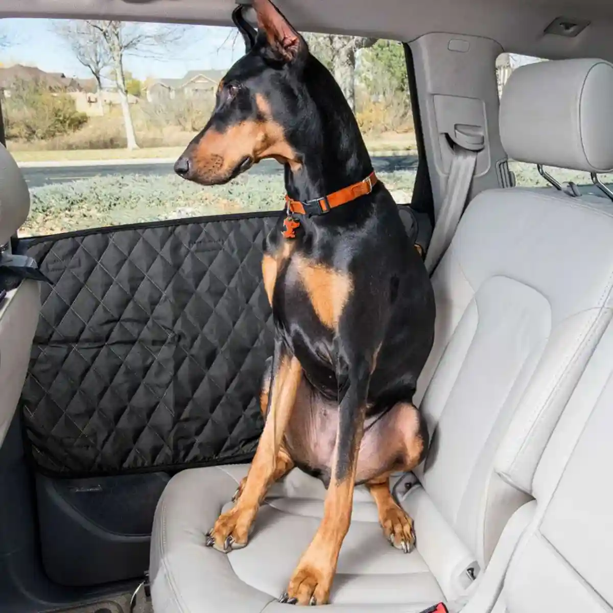 Car Pet Door Cover Protector - Image 4
