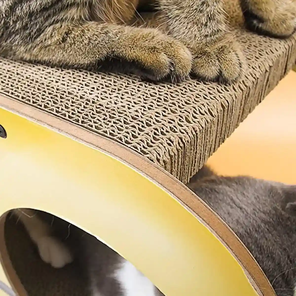Interactive Car-Shaped Cat Scratching Board for Active Cats - Image 10