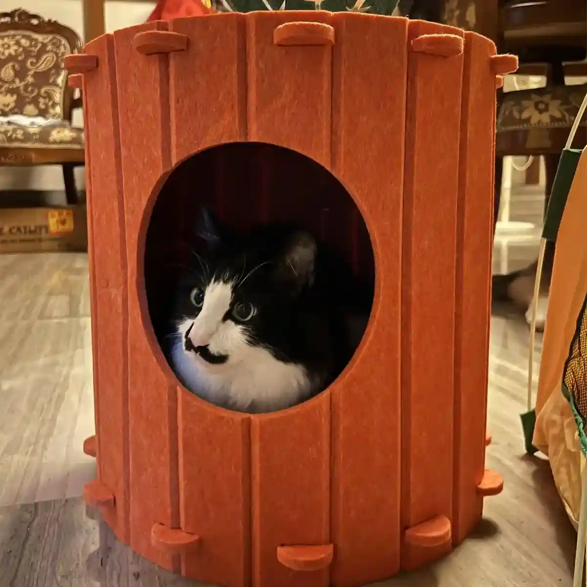 Carrot Cat Tunnel Bed Cozy Felt Pet Nest with Sturdy Design - Image 12