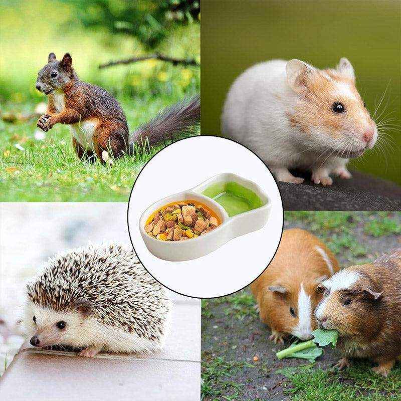 Carrot-Shaped Pet Ceramic Bowl for Hamsters and Small Animals - Image 6