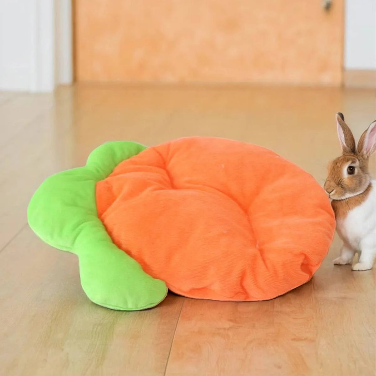 Carrot Shaped Pet Mat - Image 11