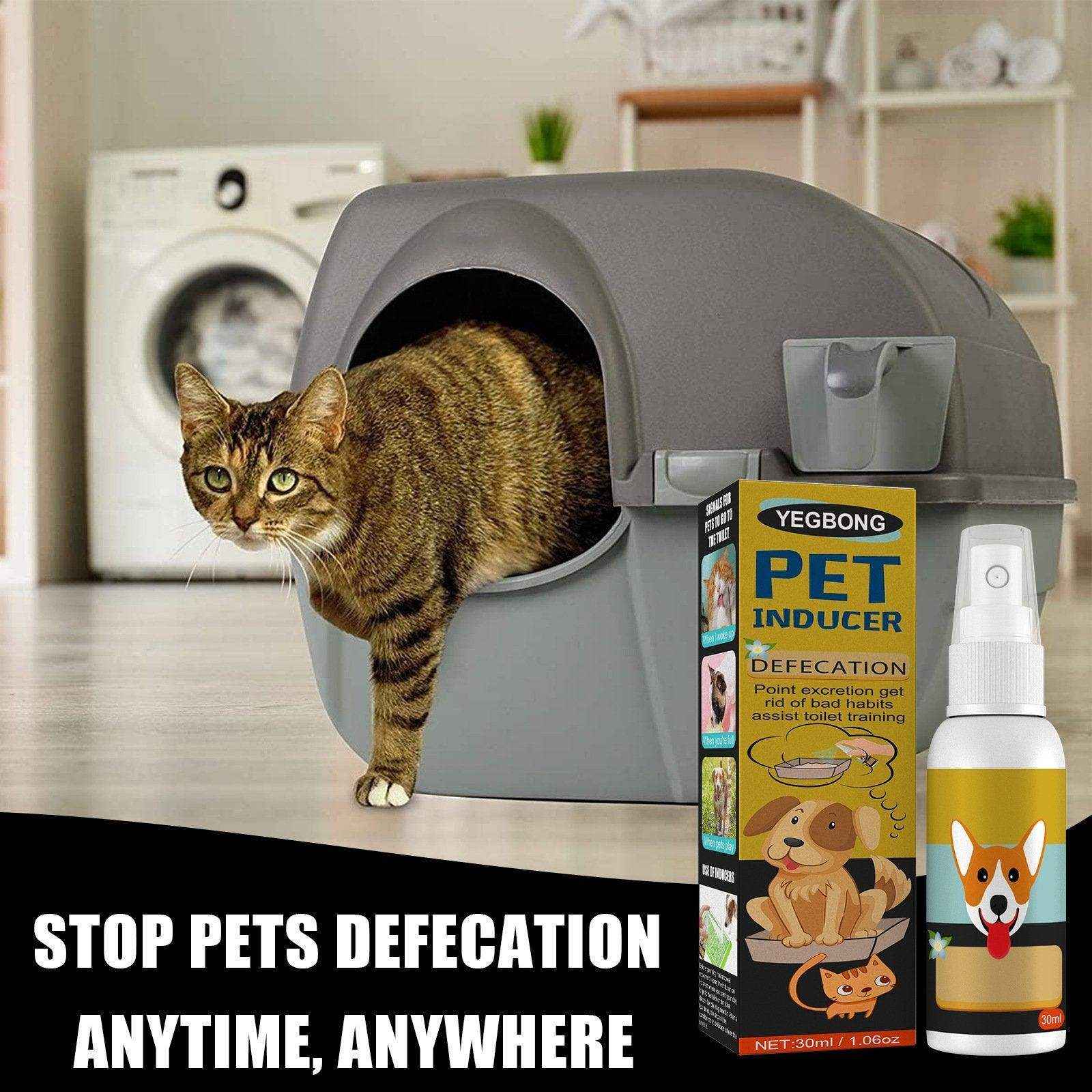 Cat And Dog Defecation Positioning Inducer - Image 10