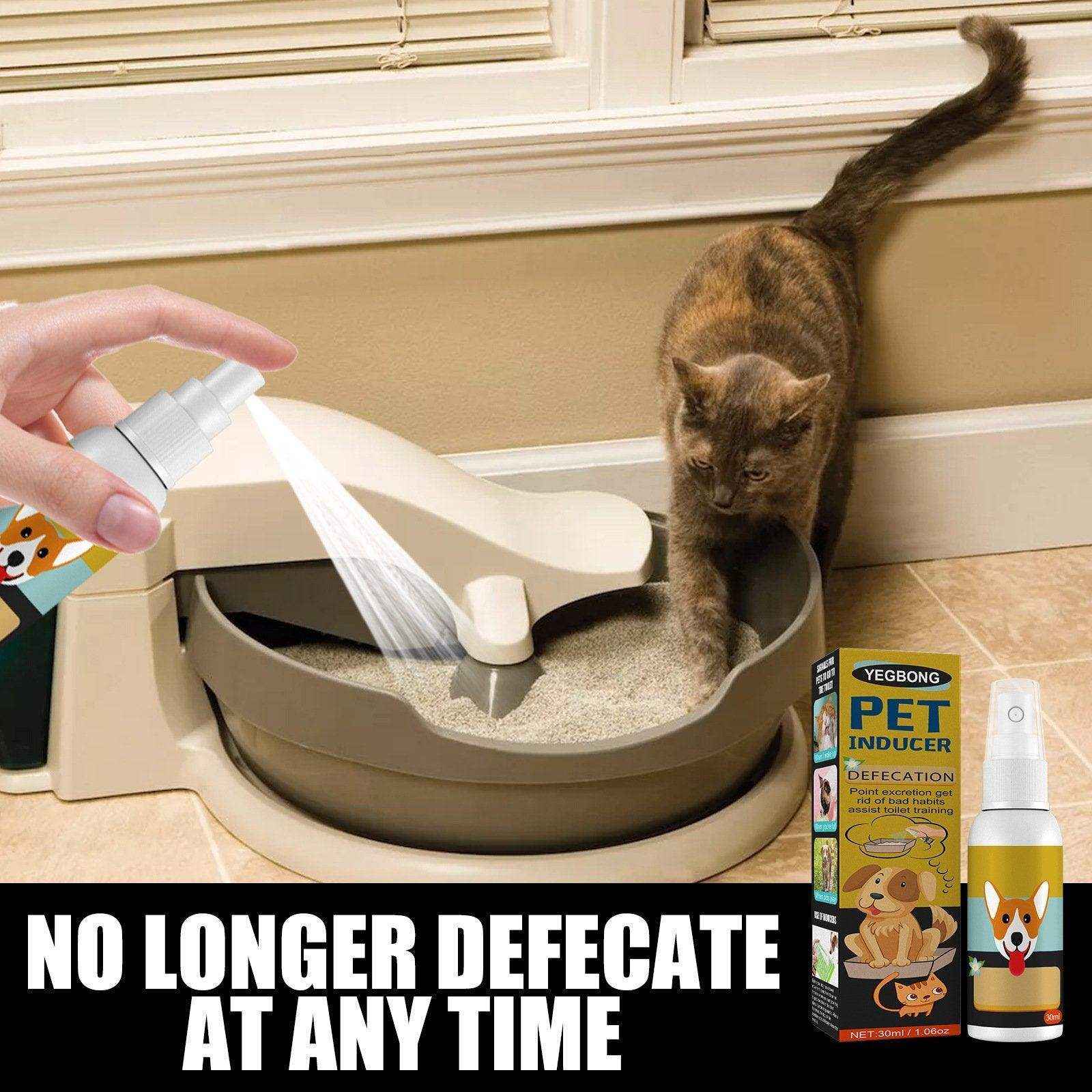 Cat And Dog Defecation Positioning Inducer - Image 12