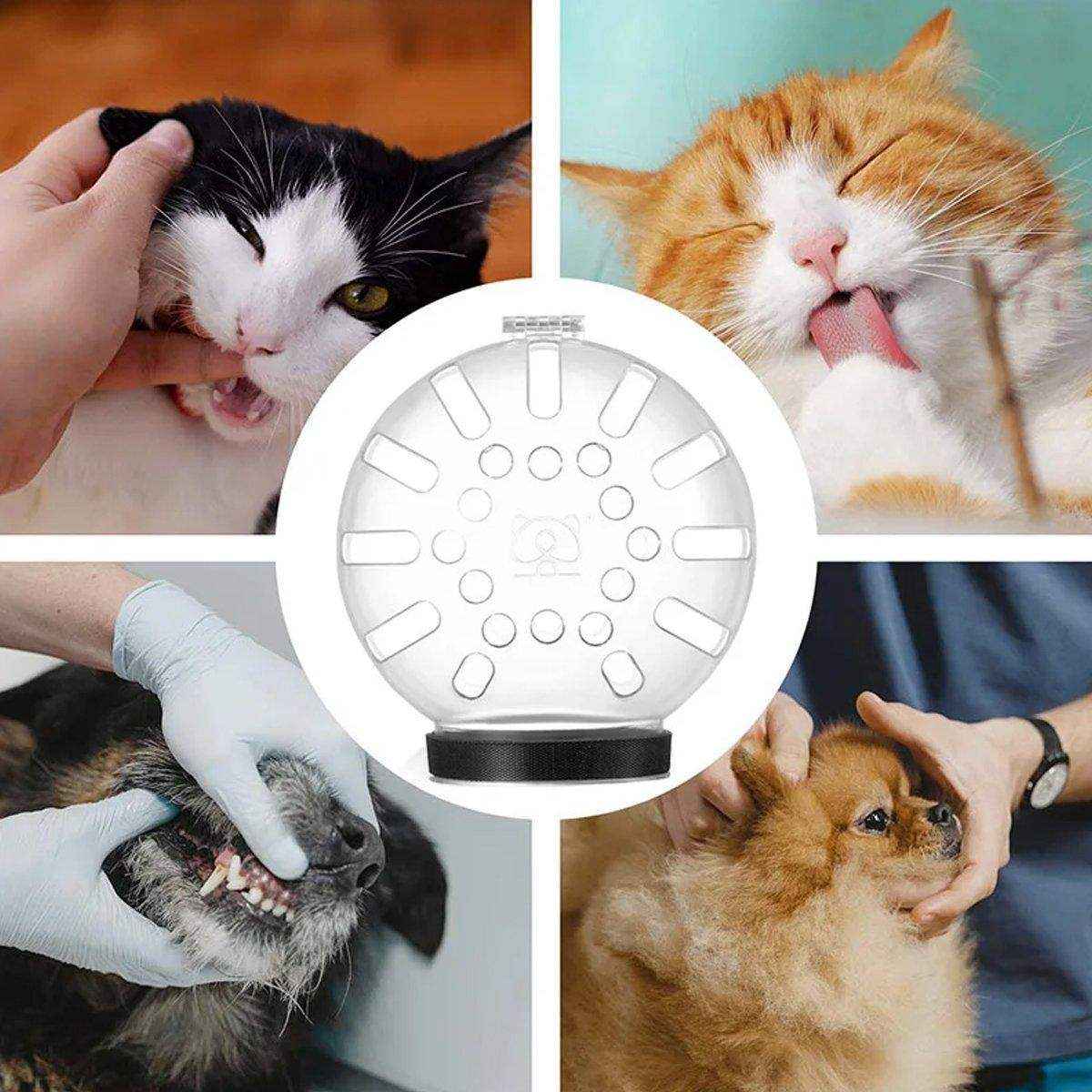 Cat Space Hood Pet Products Injection Anti-bite Breathable Headgear Elizabeth Collar - Image 11