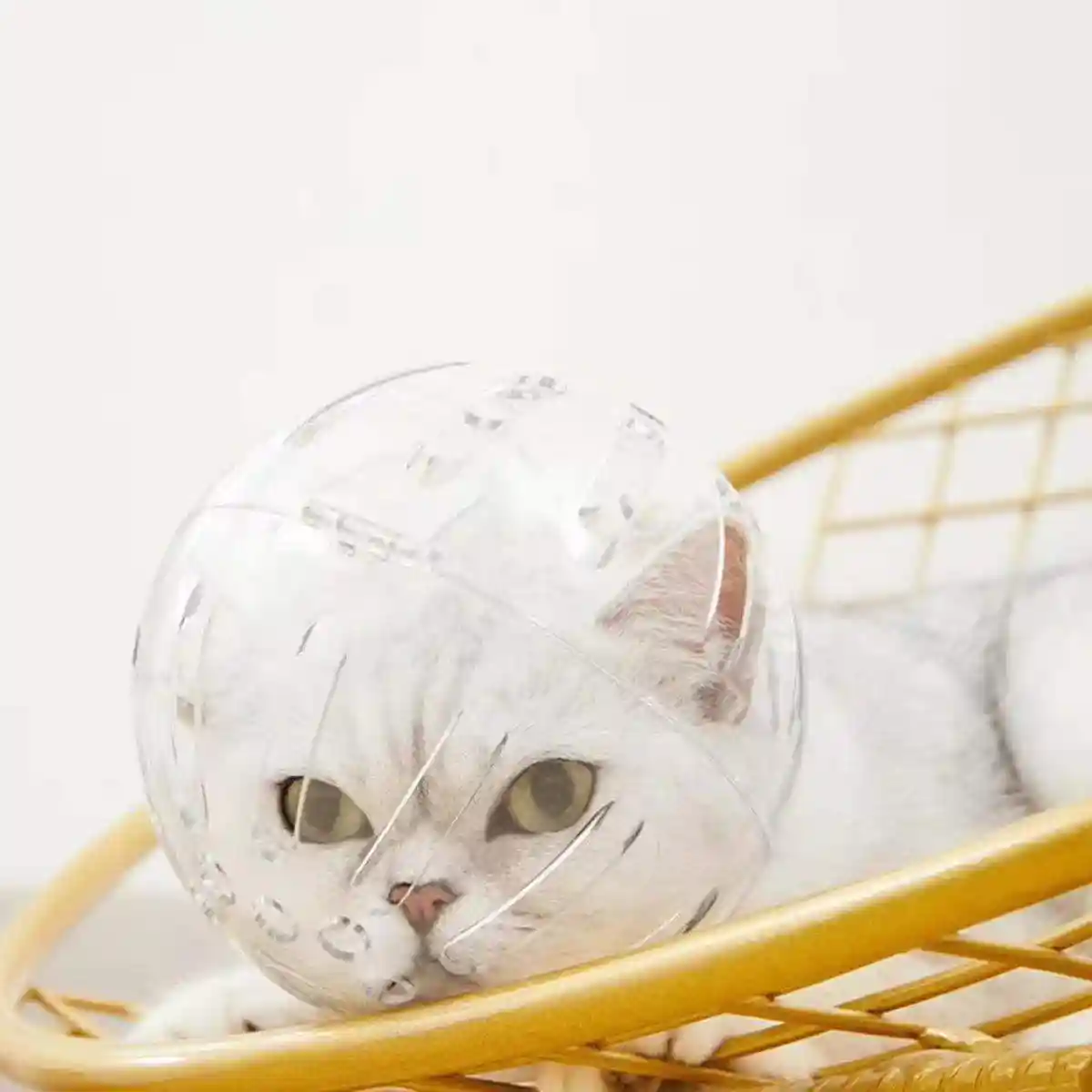 Cat Space Hood Pet Products Injection Anti-bite Breathable Headgear Elizabeth Collar - Image 12