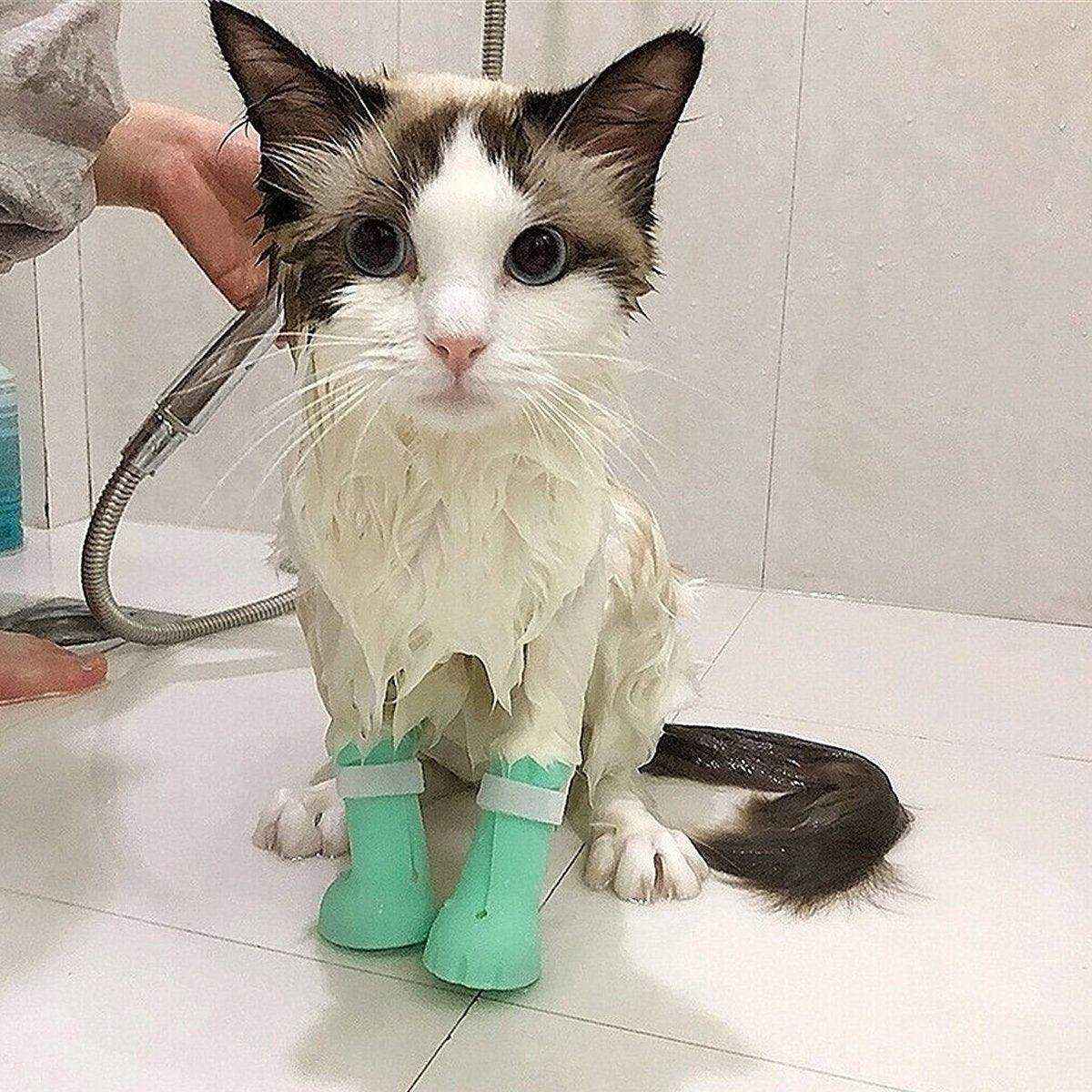 4pcs Cat Bathing Grooming Anti-Scratch Silicone Pet Socks for Bathing Feeding - Image 6