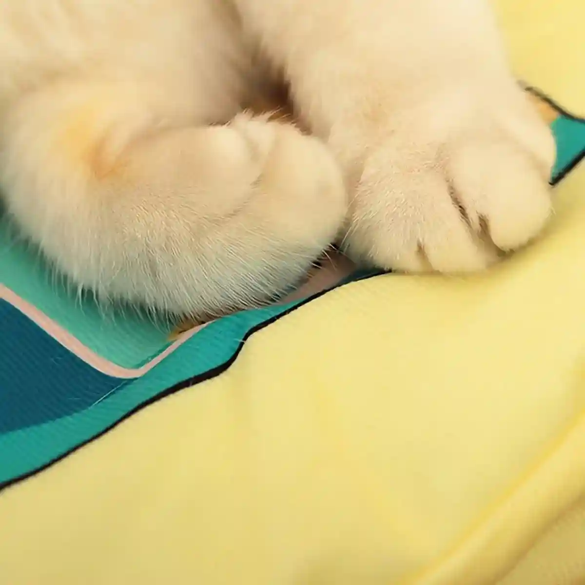 Cat Book Cat Mat Foldable Cat Nest Pet Sleeping Mat Cat Toy Fun Flip Pet Nest - Image 10