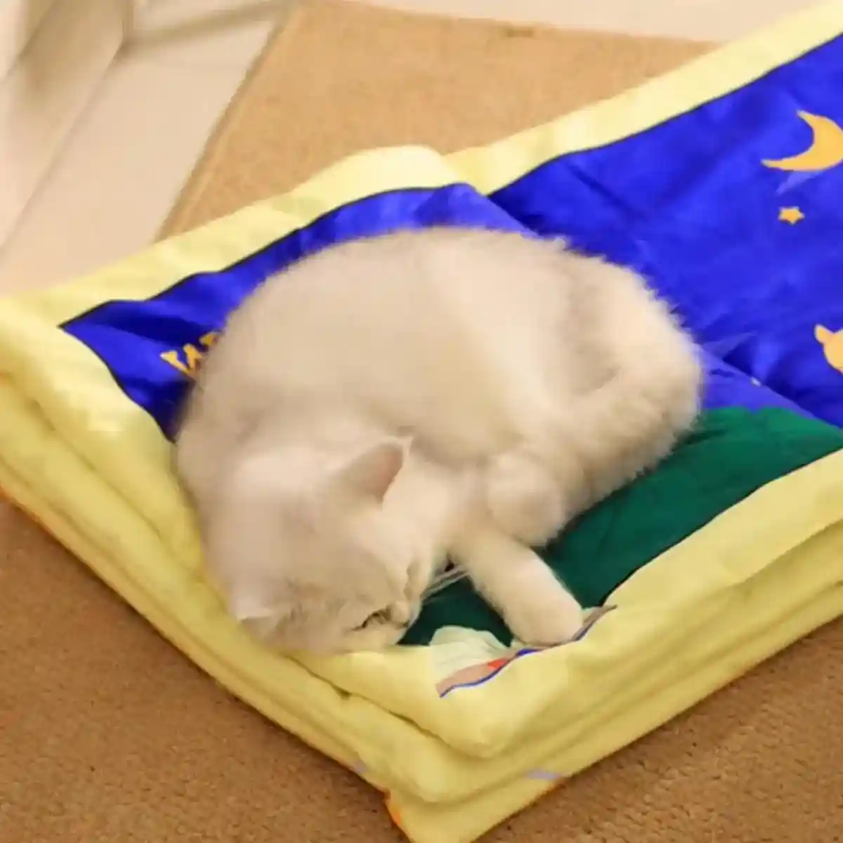 Cat Book Cat Mat Foldable Cat Nest Pet Sleeping Mat Cat Toy Fun Flip Pet Nest - Image 14