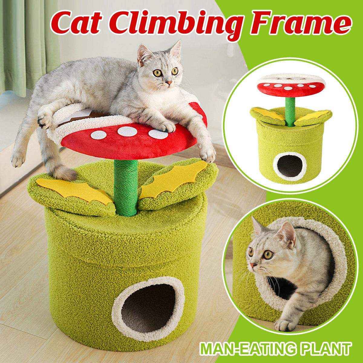 Unique Cat Climbing Frame Add Fun and Flair