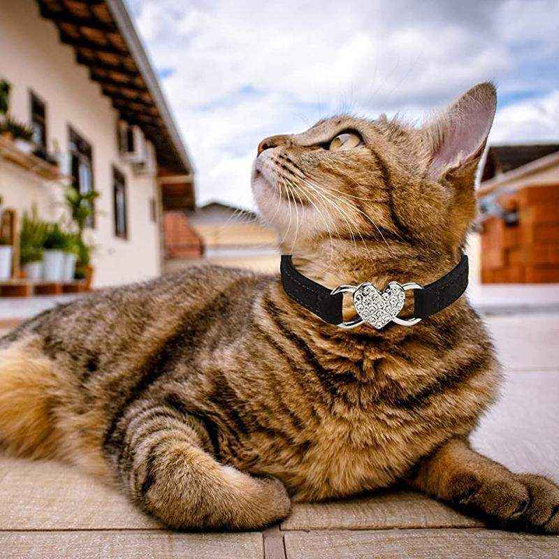 Designer Pet Collars For Dogs and Cats With Heart Crystal 6 Colours - Image 10