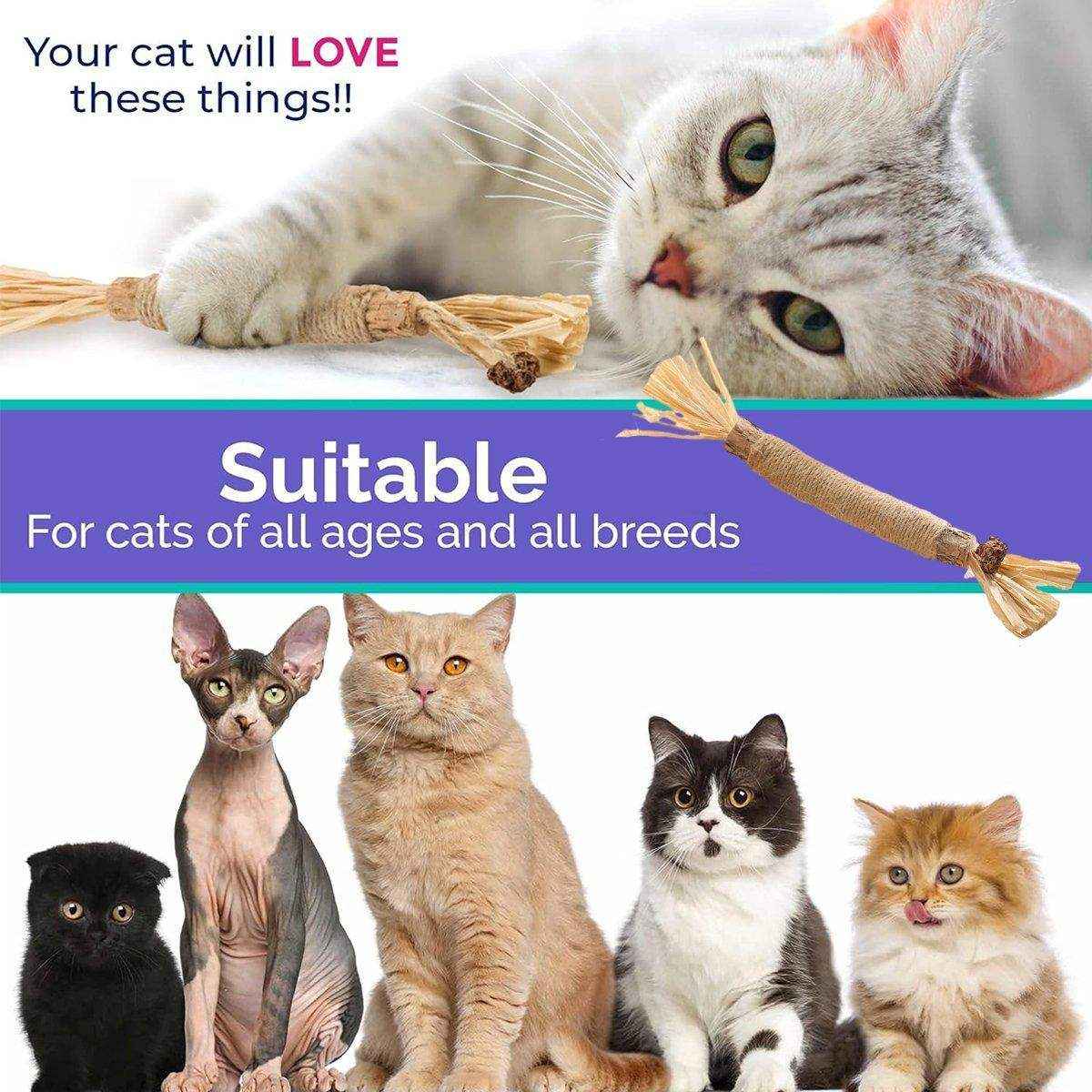 Cat Dental Health Silvervine Sticks Natural Chew Toy - Image 9