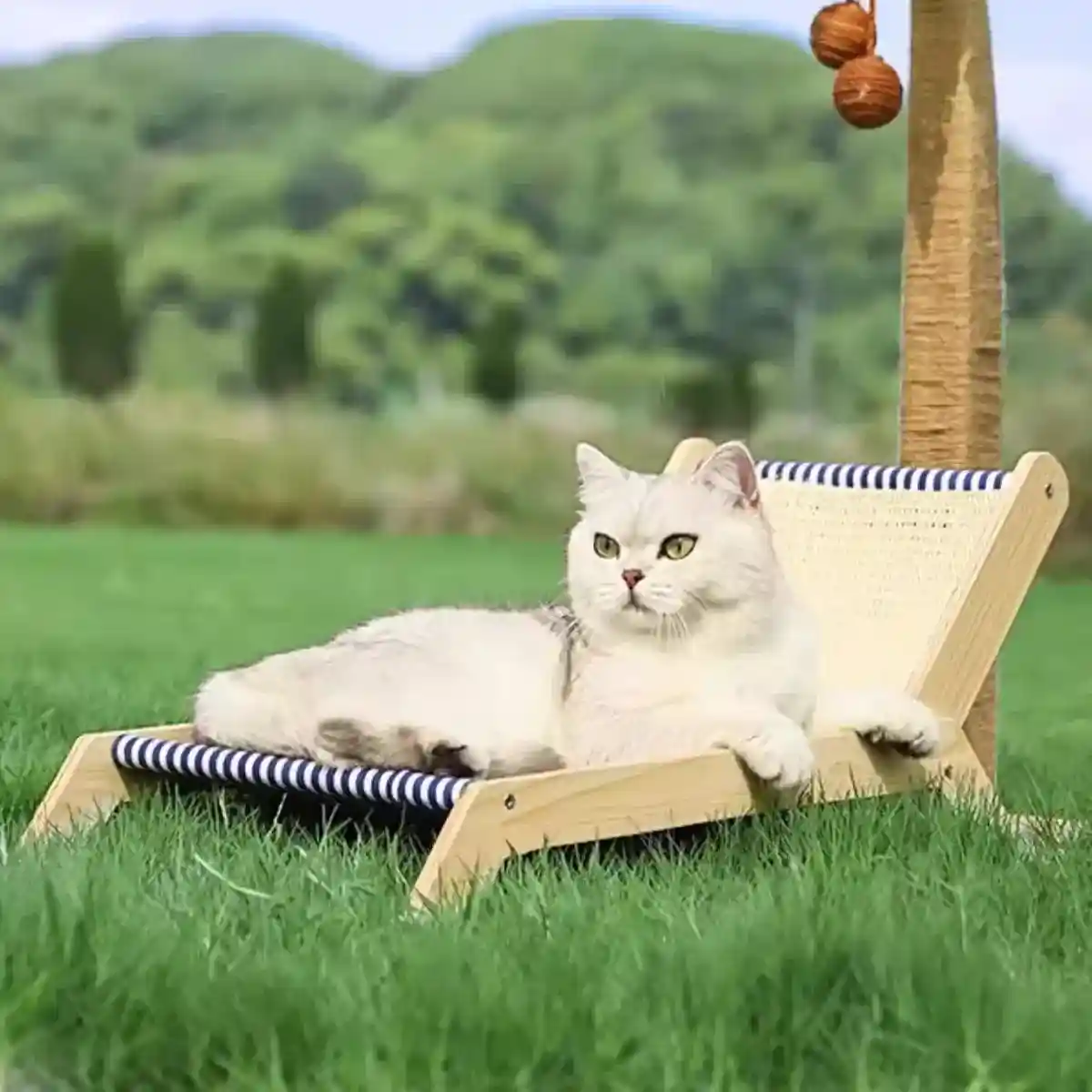 Cat Hammock Bed Summer Recliner with Scratch Post & Breathable Fabric - Image 8