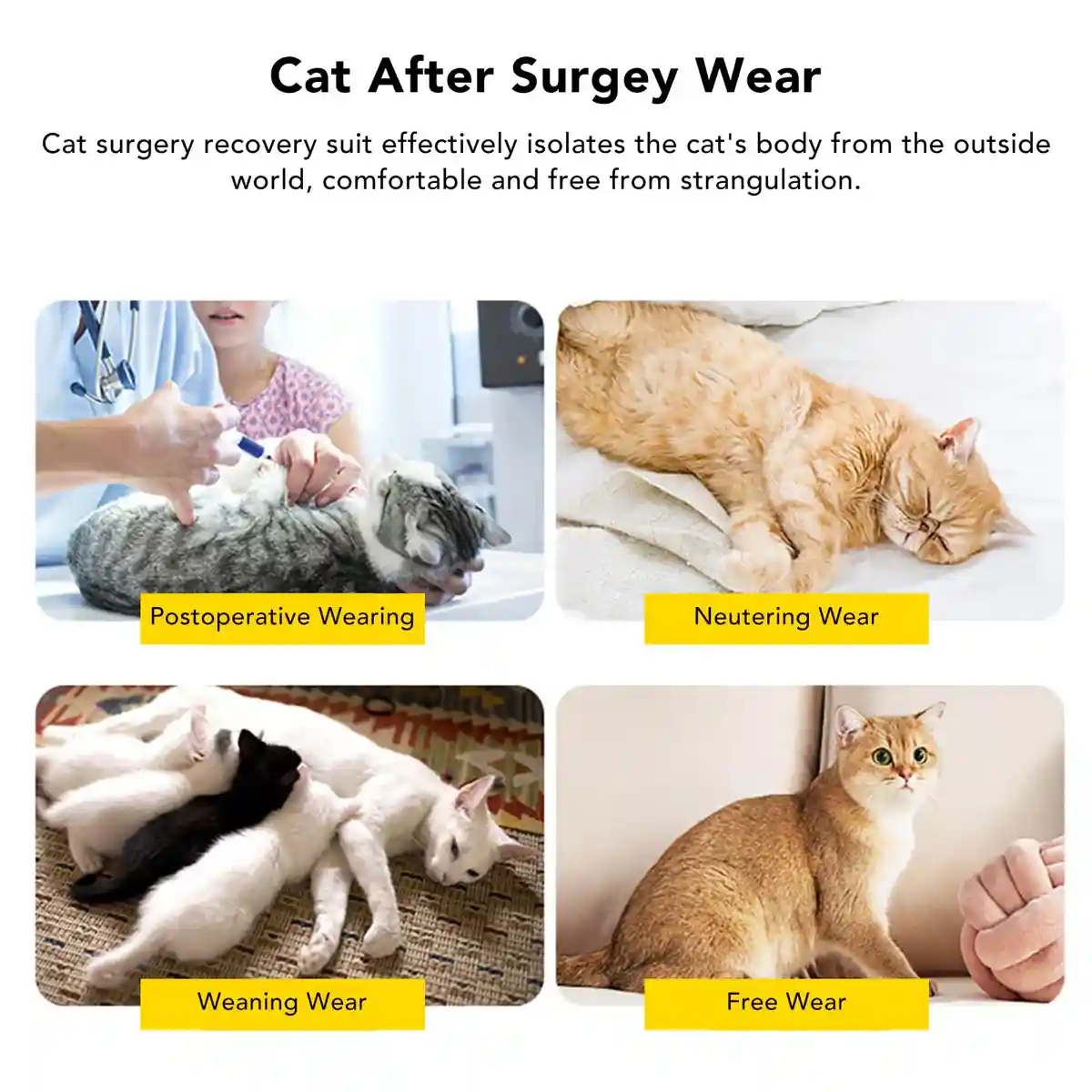 Cat Postoperative Recovery Suit - Image 6