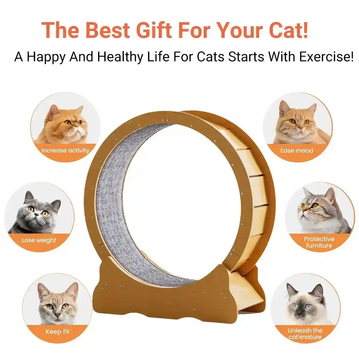 Cat Running Wheel for Indoor Exercise Silent and Safe Cat Treadmill - Image 3