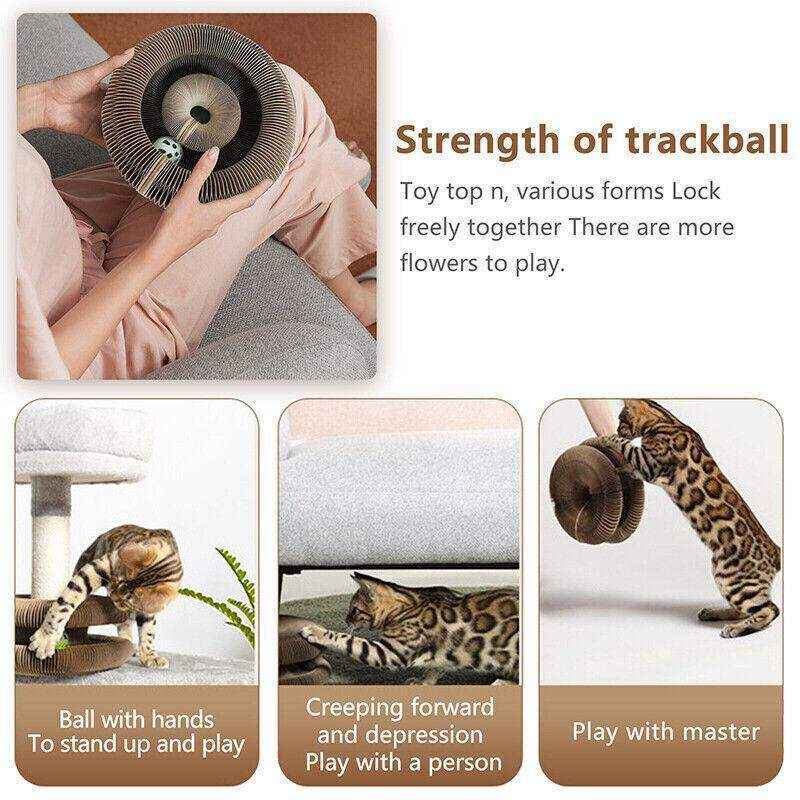 Multifunctional Cat Scratch Toy for Play Rest and Claw Care - Image 10