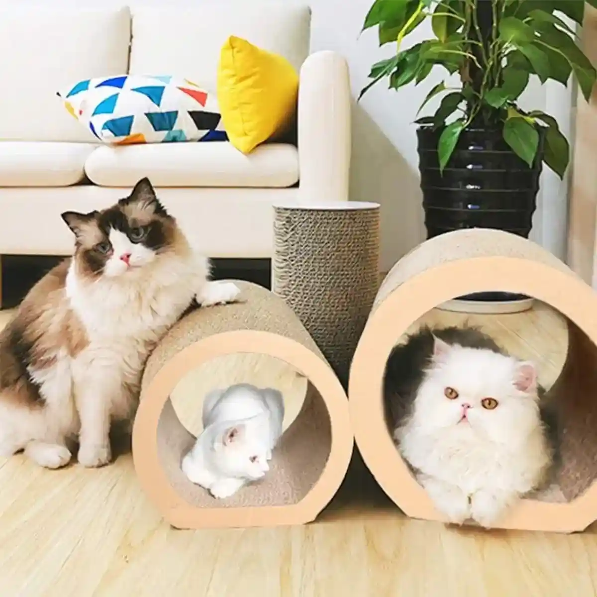 Cat Scratching Board Set Durable Corrugated Cardboard for Cats - Image 14