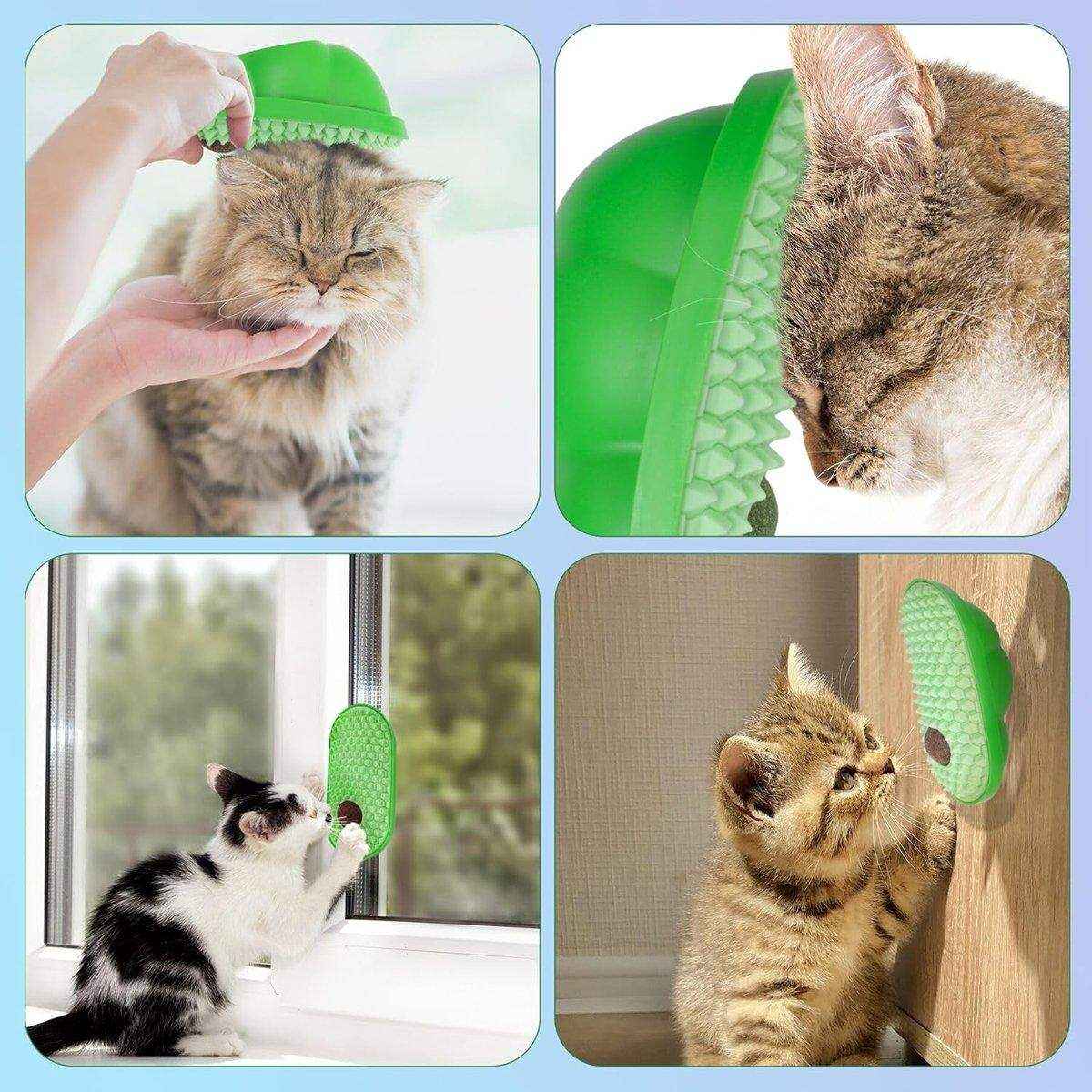 Cat Scratching Toy with Catnip - Image 11