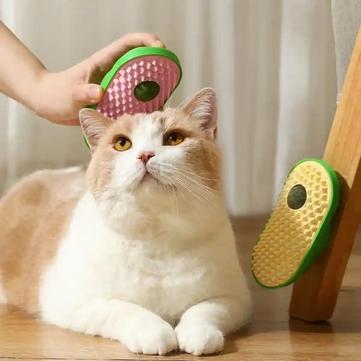 Cat Scratching Toy with Catnip - Image 12
