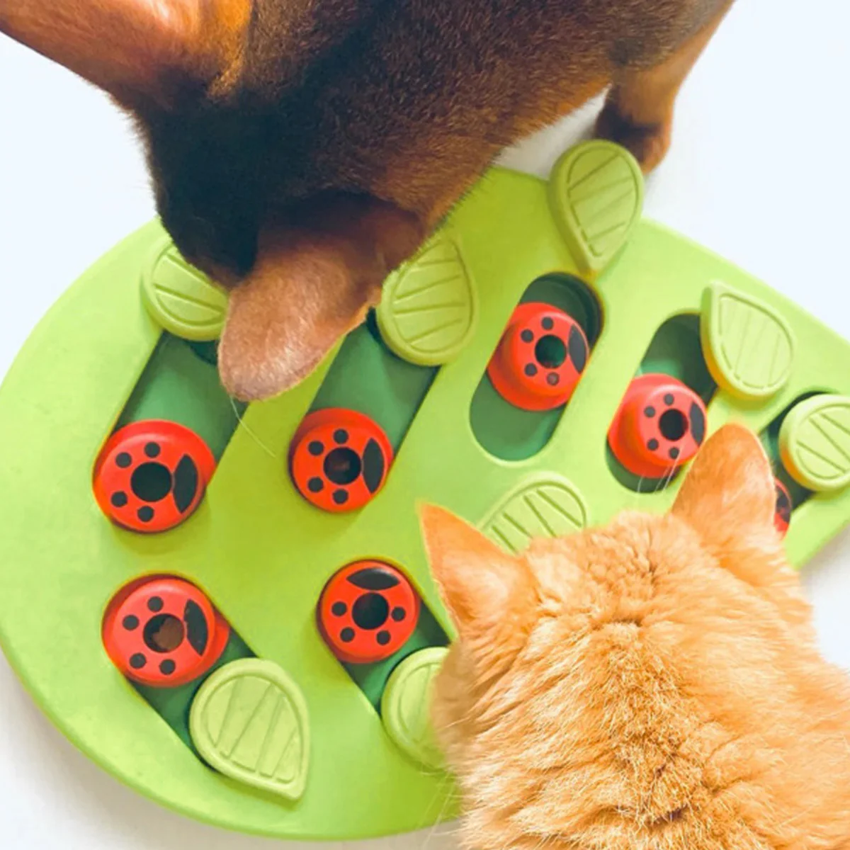 Cat Slow Feeder Bowl Puzzle Interactive Enrichment Toy Pet Educational Non-Toxic - Image 10