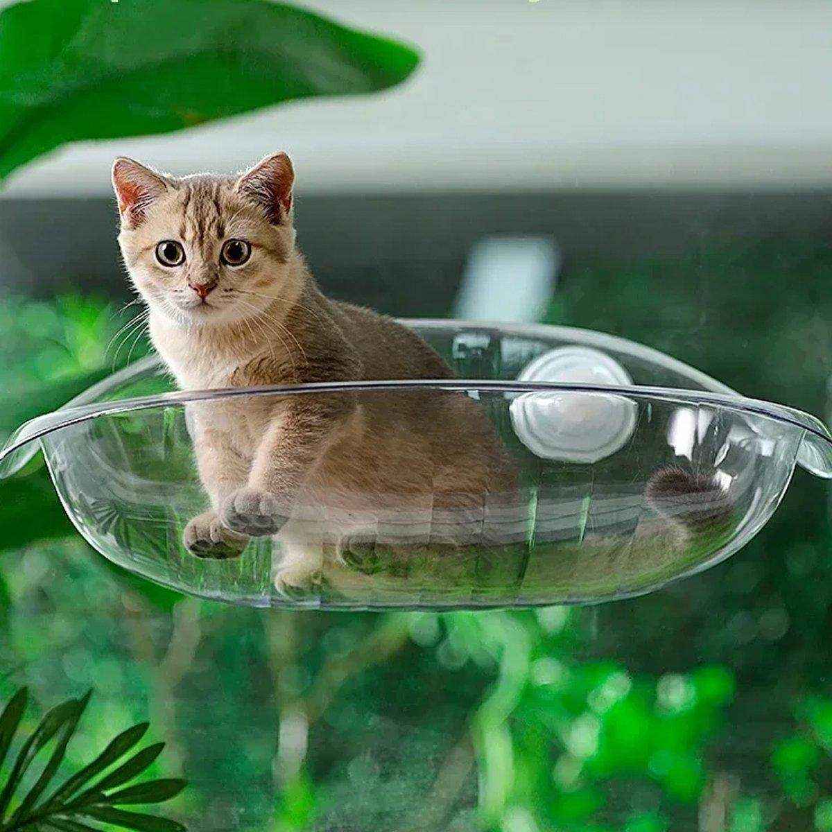 Cat Nest Cat Hammock Space Capsule Cat Bed Window Cat Sunrise Hanging Bed - Image 15