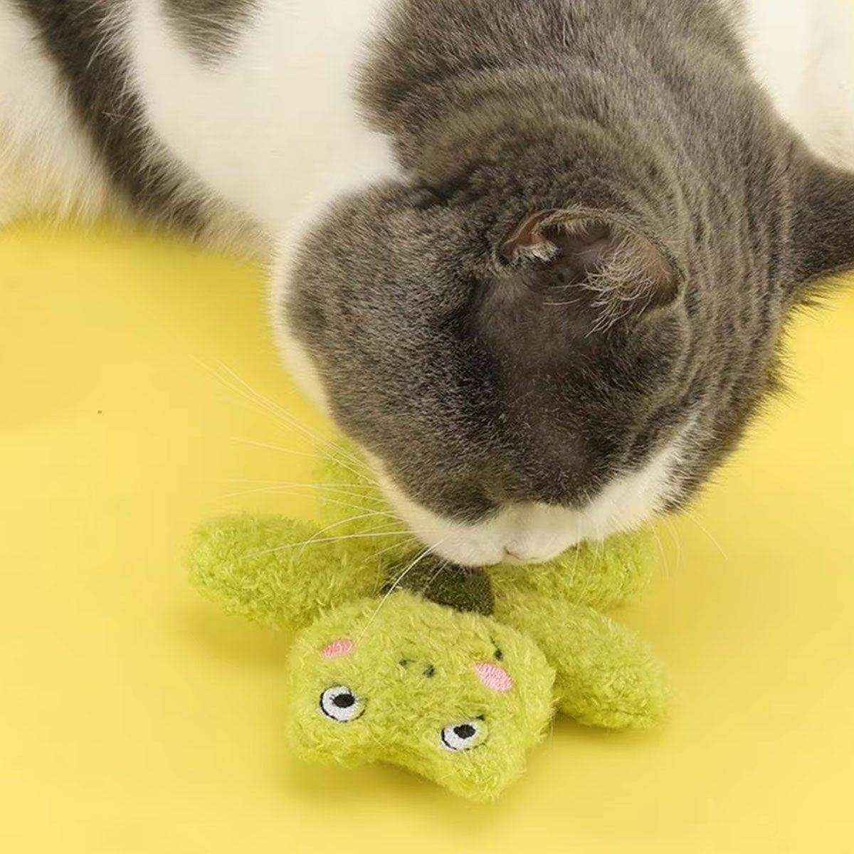 Catnip Ball Bite Toy Teeth Molar Doll Bite-resistant Teeth-resistant Pet Sleeping Toy - Image 10