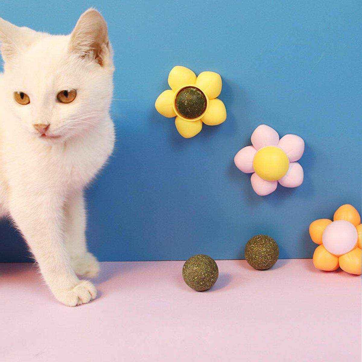 Catnip Ball Cat Toy Rotating Mint Ball Toy - Image 12