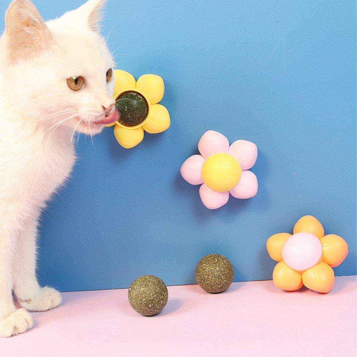 Catnip Ball Cat Toy Rotating Mint Ball Toy - Image 4