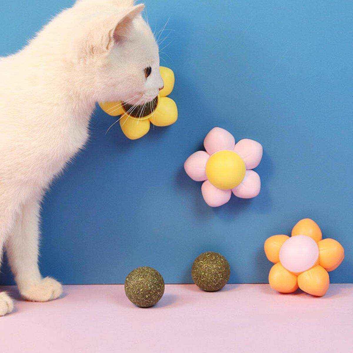 Catnip Ball Cat Toy Rotating Mint Ball Toy - Image 8