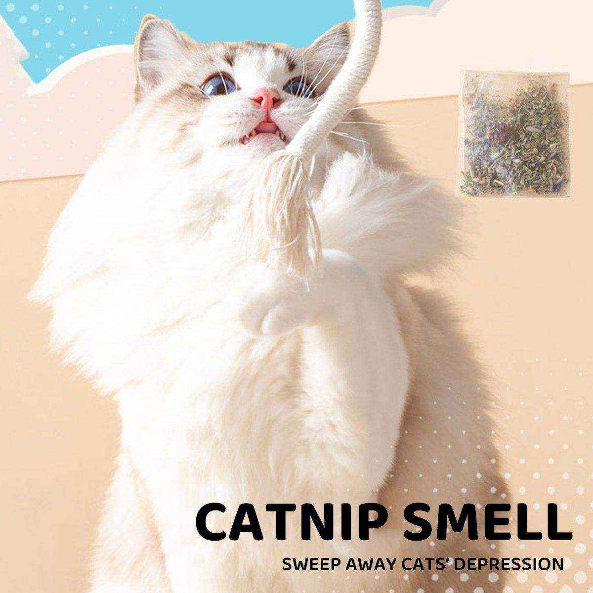 Cat Stick Doll Catnip Toy for Kittens Cat Chew Toy - Image 8