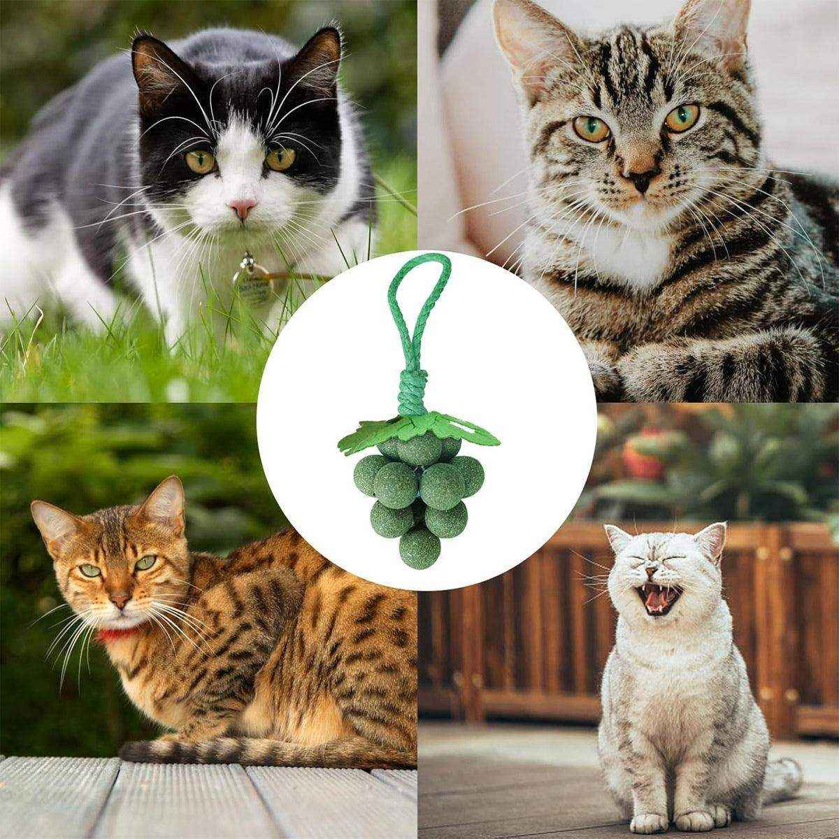 Catnip Cat Toy for Teeth Cleaning and Fresh Breath Grape Shape Toy - Image 6
