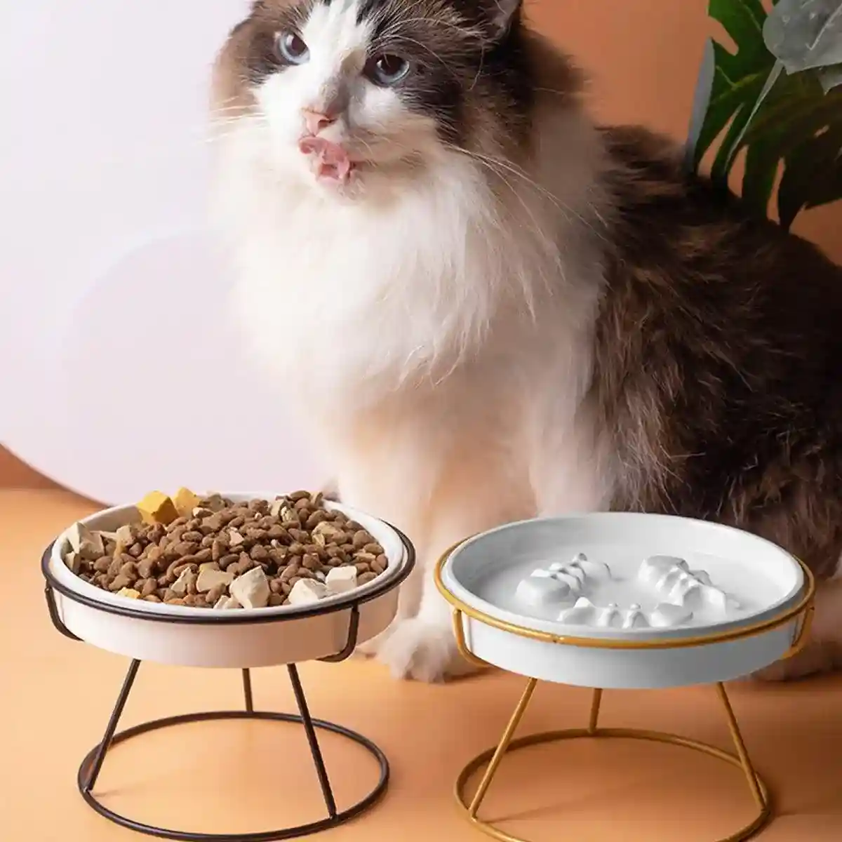 Ceramic Cat Bowl Slow Feeder Pet Food Tray for Cats and Dogs Non Slip Design - Image 7