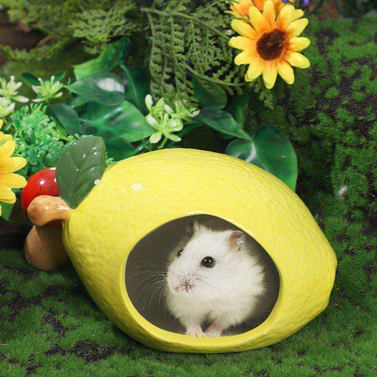 Ceramic Hamster Nest Shelter Landscaping Supplies Small Animal Hideout House - Image 10