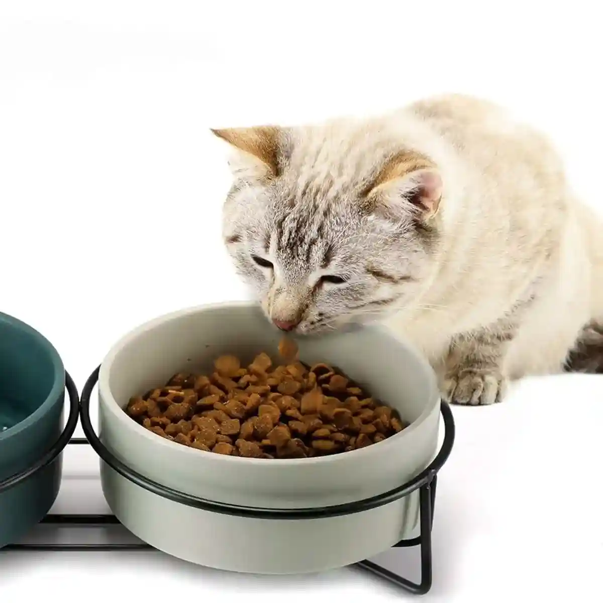 Ceramic Pet Bowl Cat Food Bowl Dog Bowl Drinking Bowl Pet Water Food Dish - Image 17