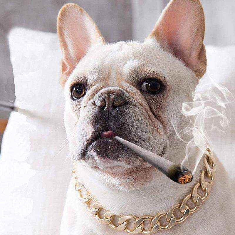 Heavy-Duty Dog Chain Collar Silver - Image 8