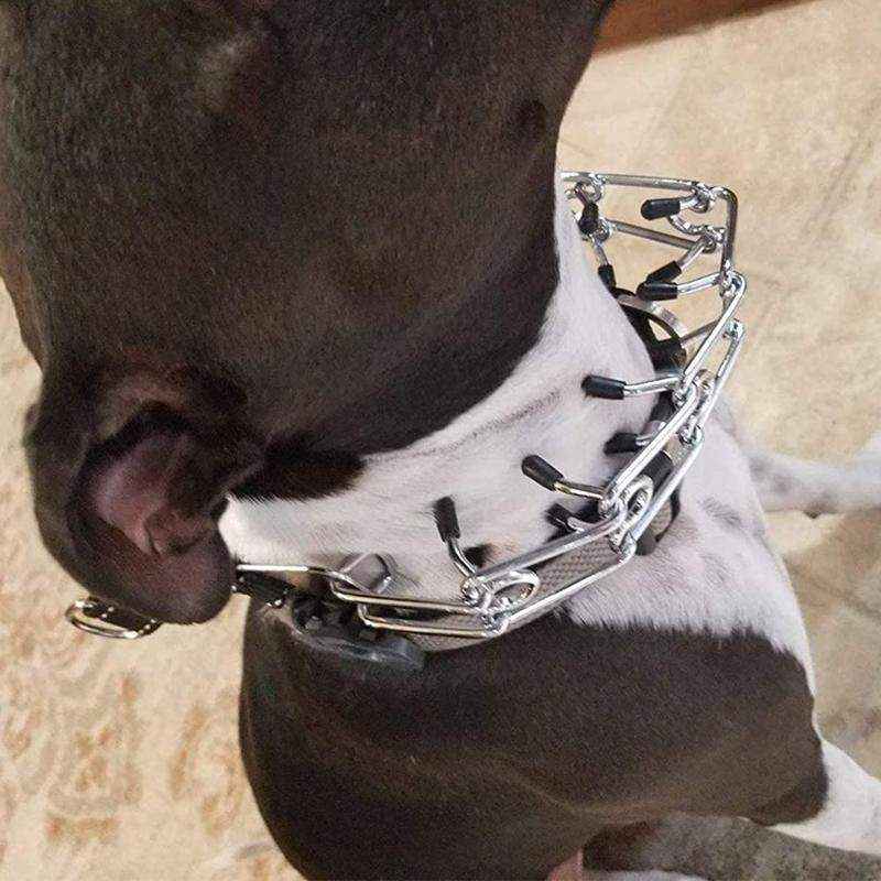 Adjustable Chain Dog Collar Metal Training Collar - Image 12