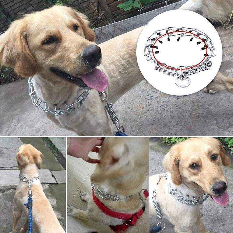 Adjustable Chain Dog Collar Metal Training Collar - Image 14