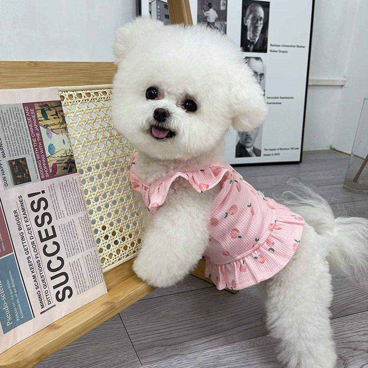 Lightweight Pet Clothes Flying Sleeve Skirt for Small Dogs Puppy Summer Vest - Image 4