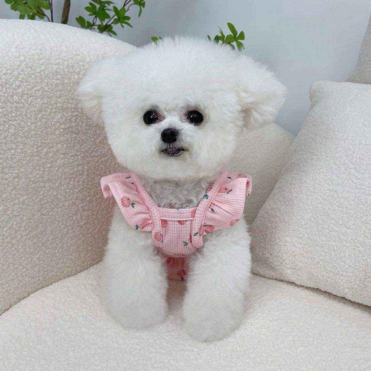 Lightweight Pet Clothes Flying Sleeve Skirt for Small Dogs Puppy Summer Vest - Image 5