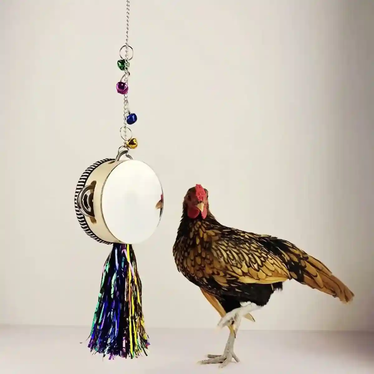Hanging Mirror Drum Chicken Toys for Coop Enrichment and Fun - Image 3