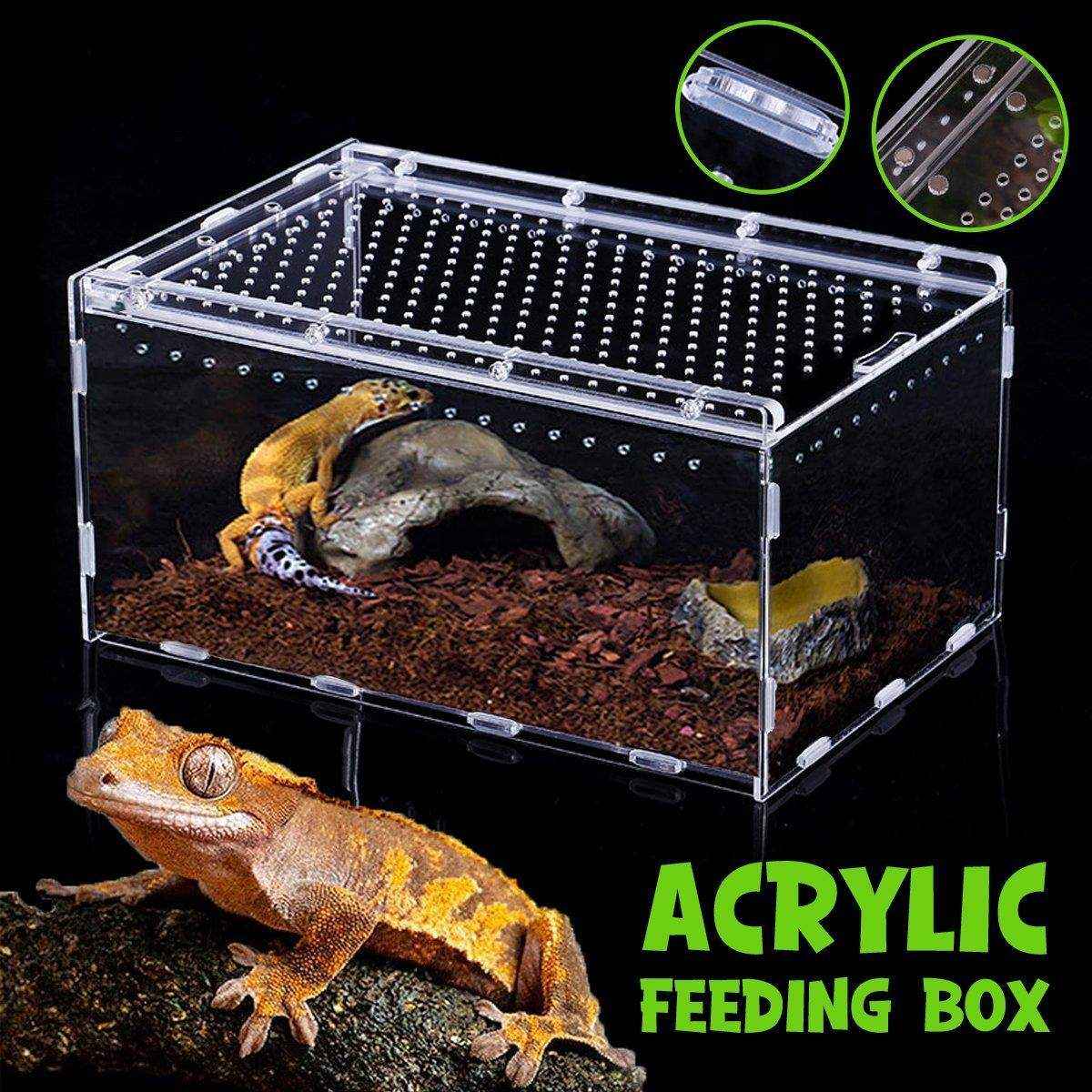 Clear Slide Lid Pet Box Reptile Breeding Habitat Reptile Tank - Image 4