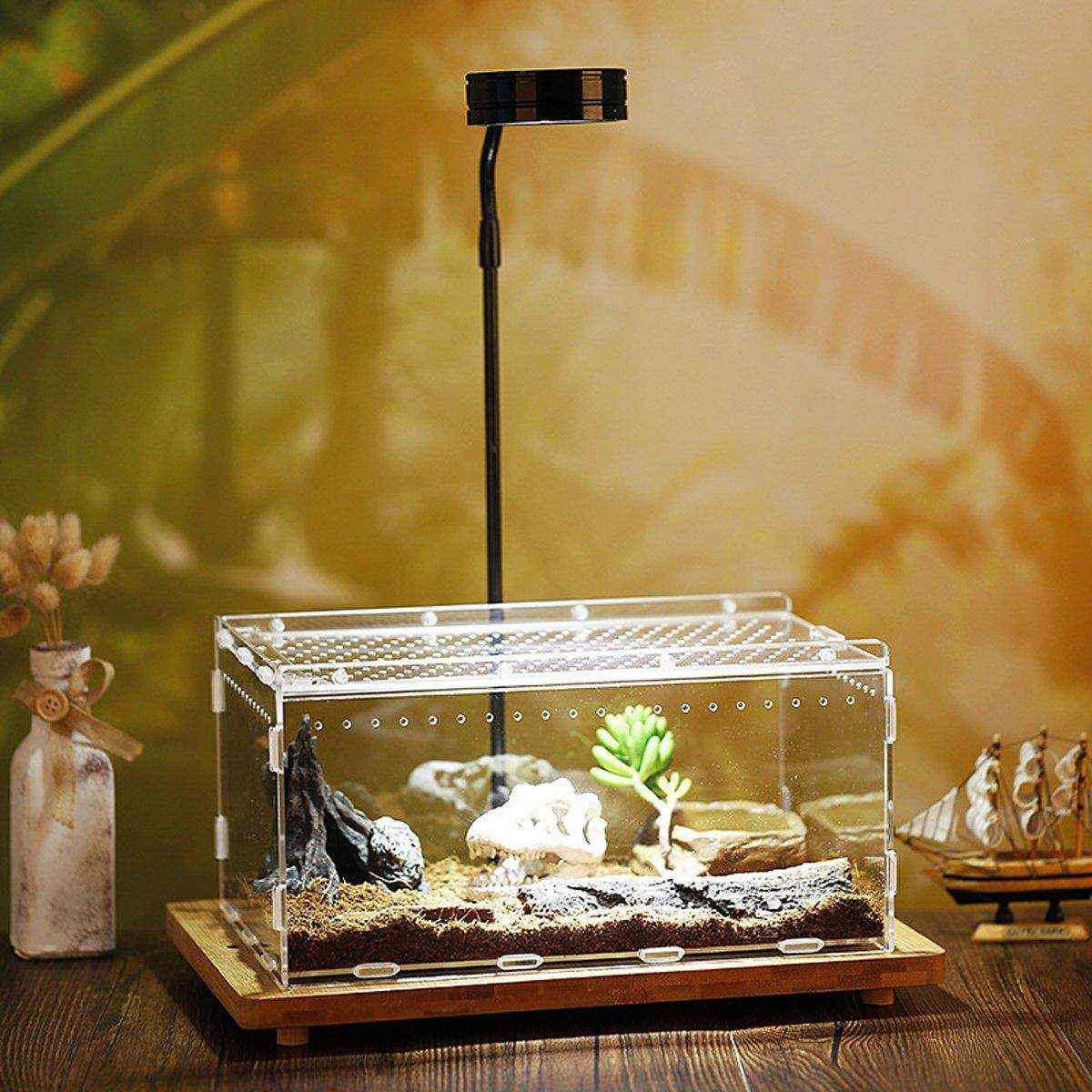 Clear Slide Lid Pet Box Reptile Breeding Habitat Reptile Tank - Image 8