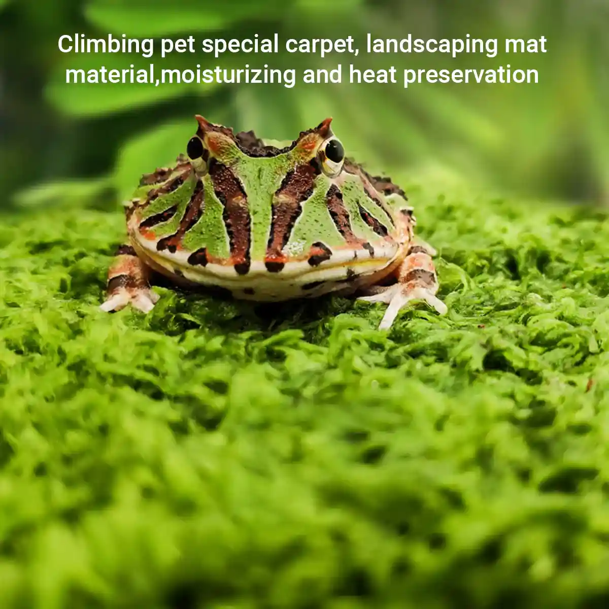 Climbing Pet Rainforest Landscape Moss Carpet Pet Horned Frog Pad - Image 4