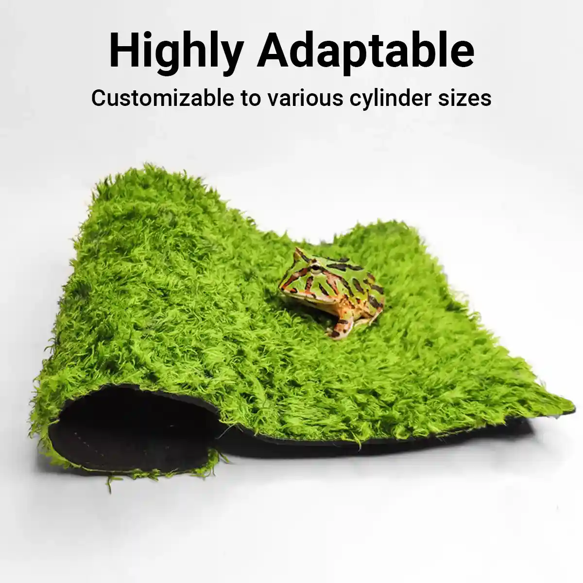 Climbing Pet Rainforest Landscape Moss Carpet Pet Horned Frog Pad - Image 5