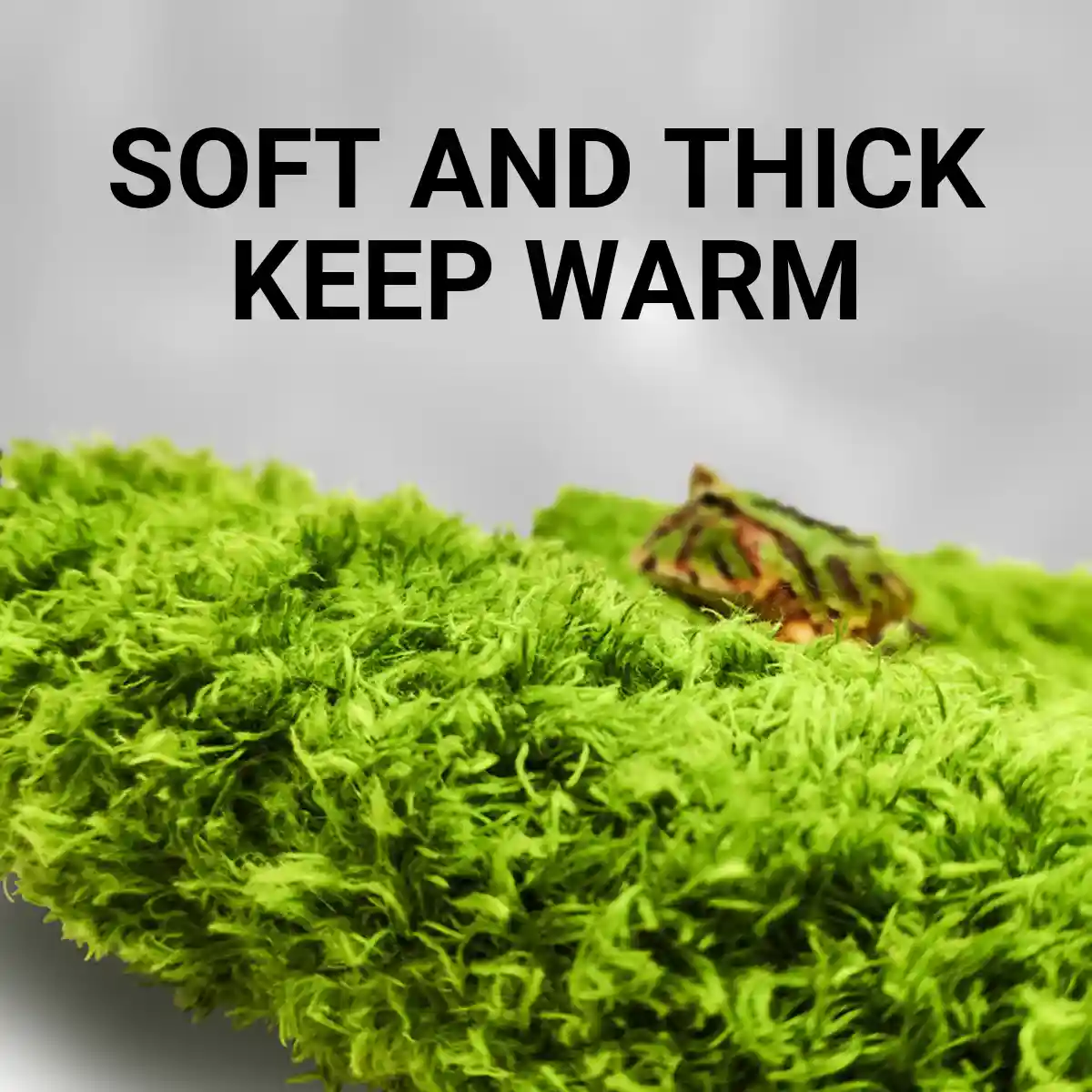 Climbing Pet Rainforest Landscape Moss Carpet Pet Horned Frog Pad - Image 7